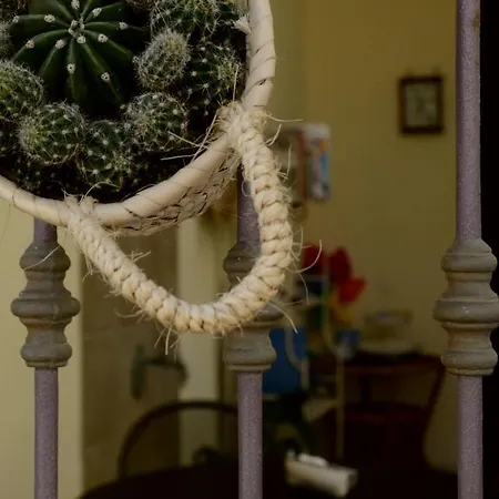 Acqua Di Mare Bed & Breakfast